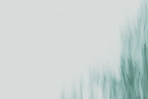 Kaszinó Wild Tornado Támogatás